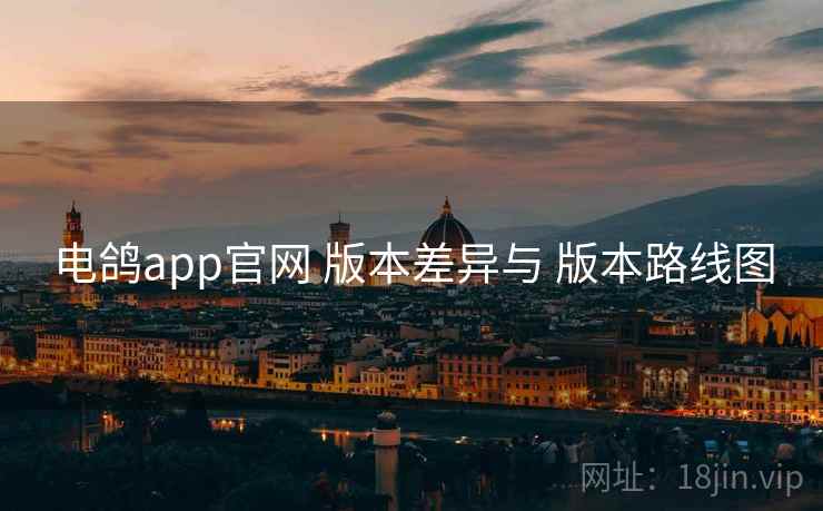电鸽app官网 版本差异与 版本路线图  第2张