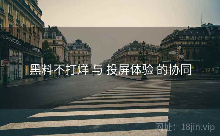 黑料不打烊 与 投屏体验 的协同