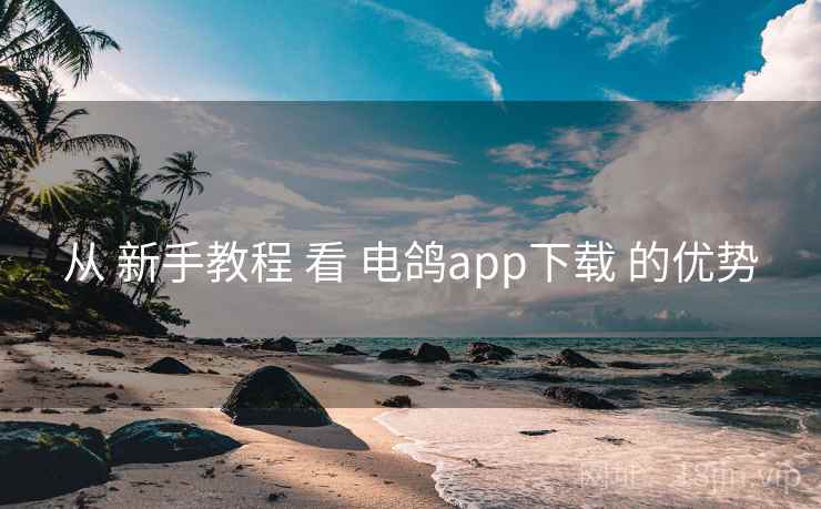 从 新手教程 看 电鸽app下载 的优势  第2张