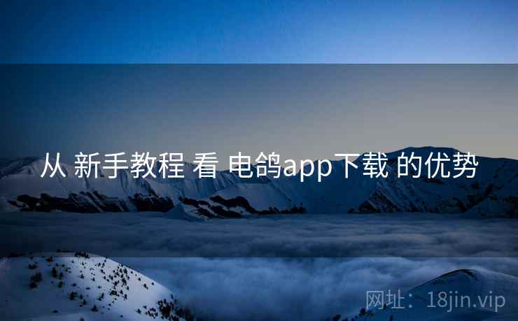 从 新手教程 看 电鸽app下载 的优势