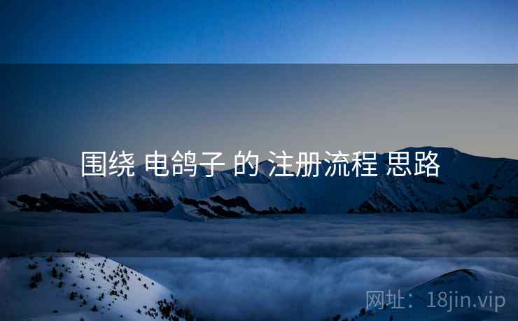 围绕 电鸽子 的 注册流程 思路  第1张