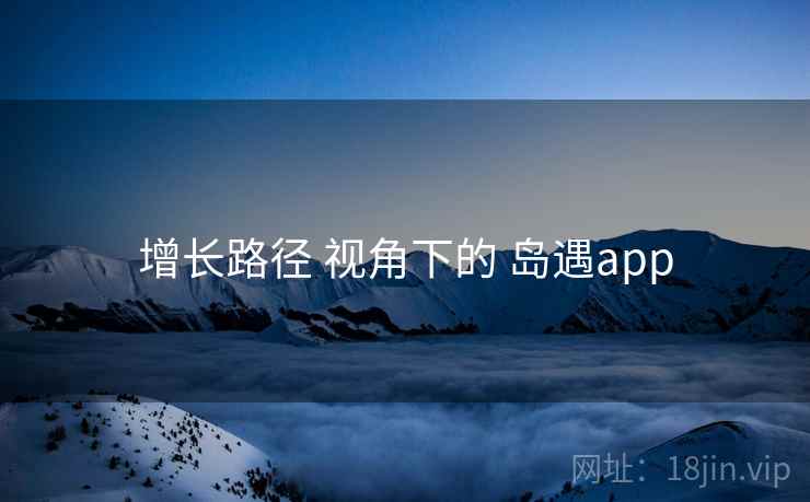 增长路径 视角下的 岛遇app  第1张