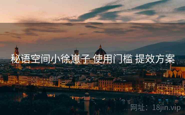 秘语空间小徐崽子 使用门槛 提效方案