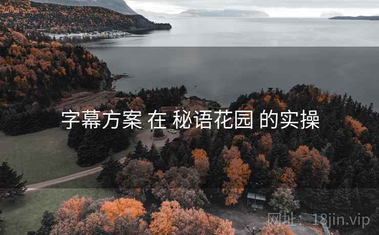 字幕方案 在 秘语花园 的实操