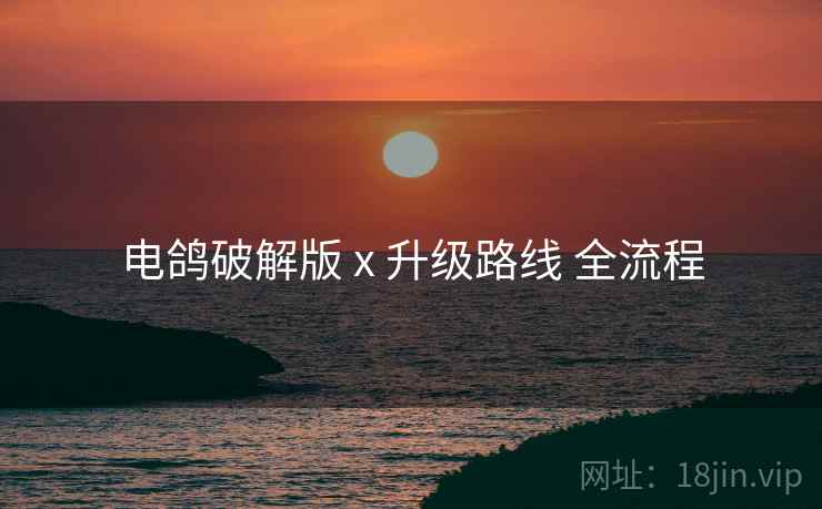 电鸽破解版 x 升级路线 全流程