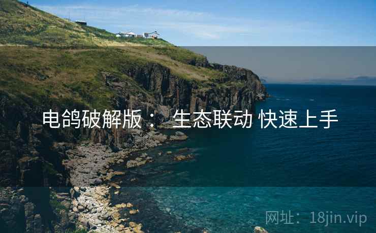 电鸽破解版 ： 生态联动 快速上手  第2张