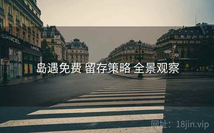 岛遇免费 留存策略 全景观察