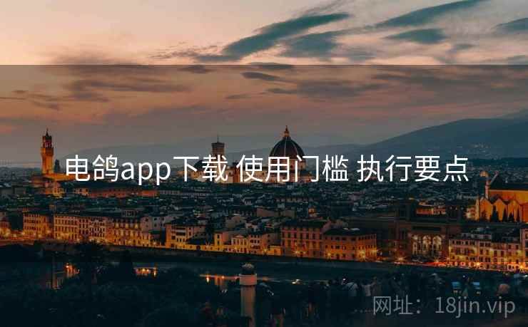 电鸽app下载 使用门槛 执行要点