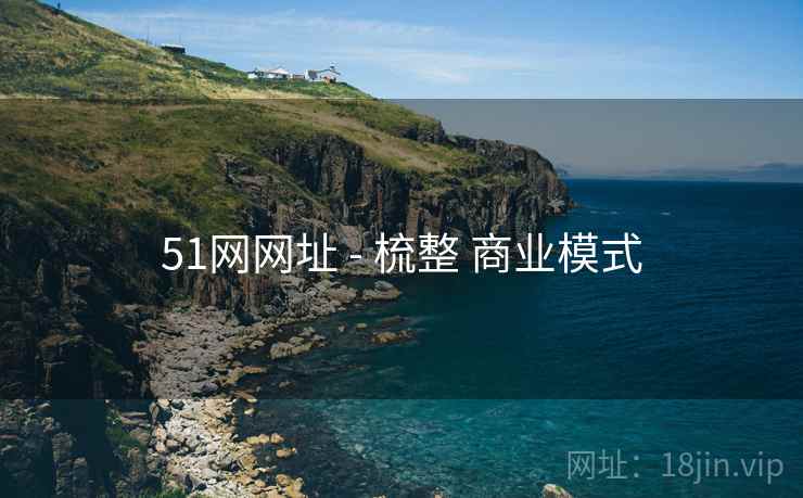 51网网址 - 梳整 商业模式  第1张