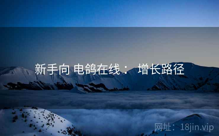新手向 电鸽在线 ： 增长路径