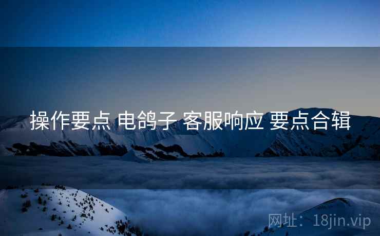 操作要点 电鸽子 客服响应 要点合辑
