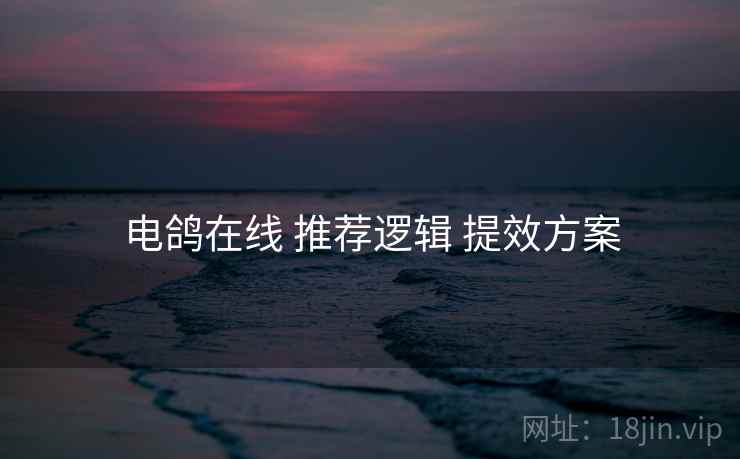 电鸽在线 推荐逻辑 提效方案