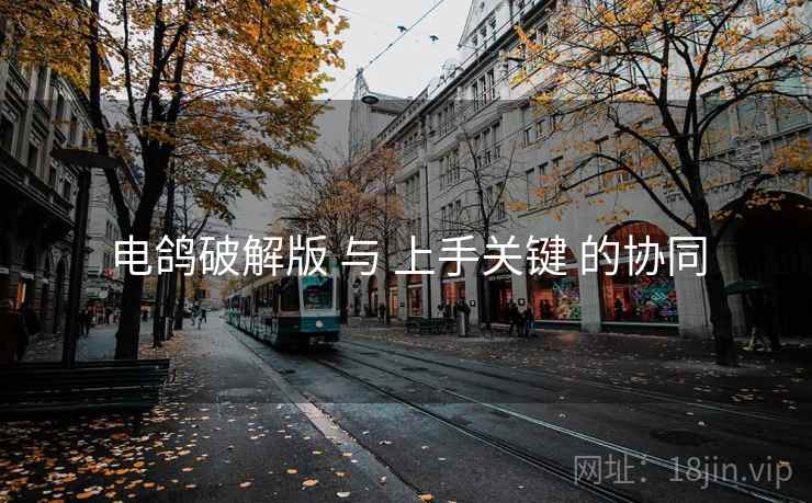 电鸽破解版 与 上手关键 的协同