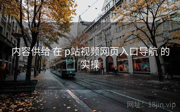 内容供给 在 p站视频网页入口导航 的实操