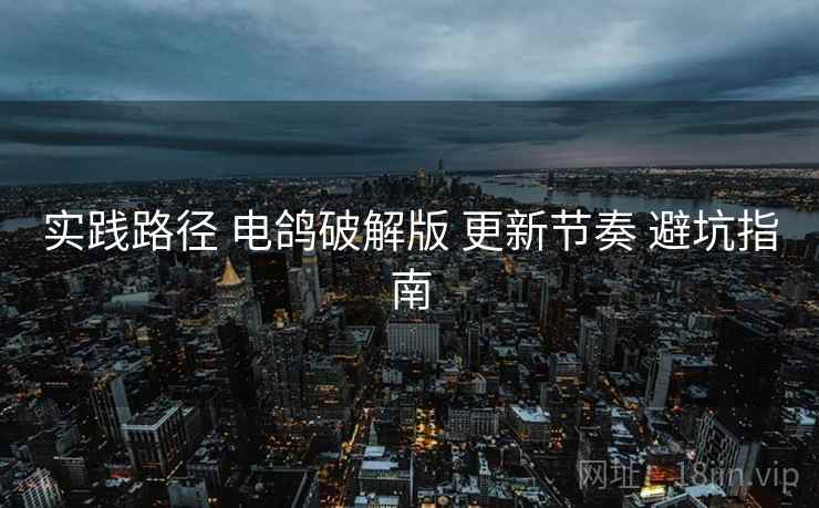 实践路径 电鸽破解版 更新节奏 避坑指南