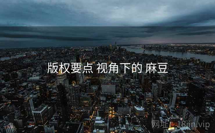 版权要点 视角下的 麻豆
