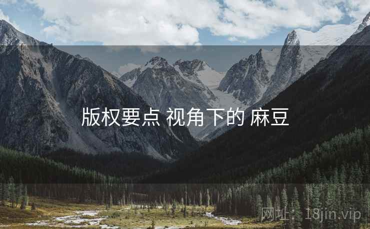 版权要点 视角下的 麻豆