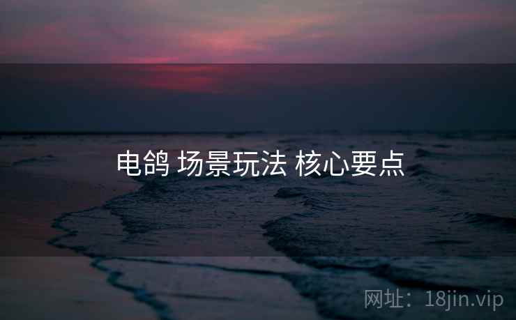 电鸽 场景玩法 核心要点
