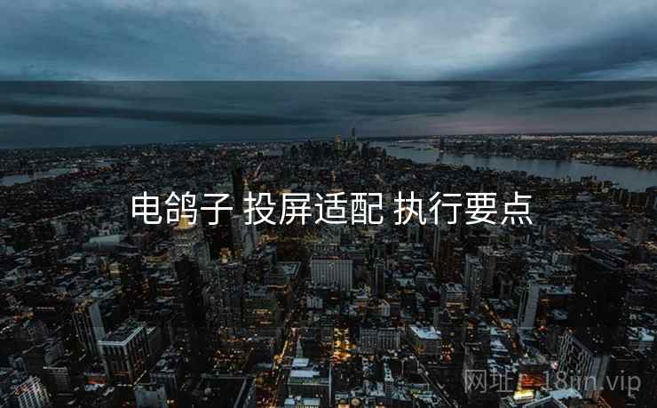 电鸽子 投屏适配 执行要点