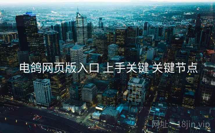 电鸽网页版入口 上手关键 关键节点