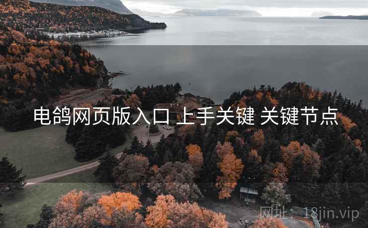 电鸽网页版入口 上手关键 关键节点