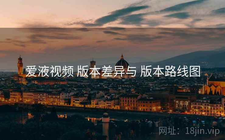 爱液视频 版本差异与 版本路线图