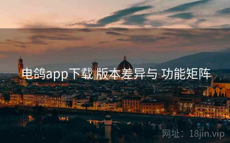 电鸽app下载 版本差异与 功能矩阵