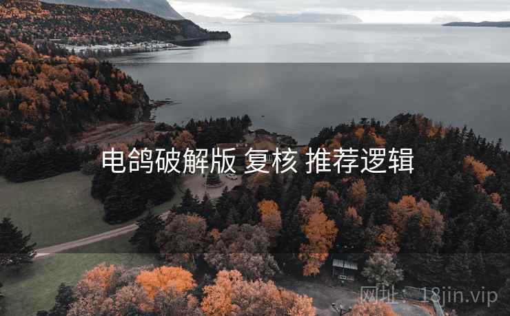 电鸽破解版 复核 推荐逻辑  第2张