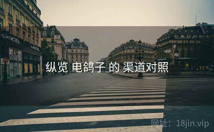 纵览 电鸽子 的 渠道对照