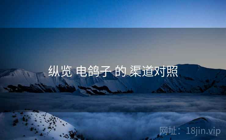 纵览 电鸽子 的 渠道对照  第2张
