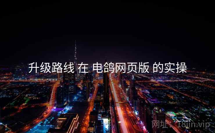 升级路线 在 电鸽网页版 的实操