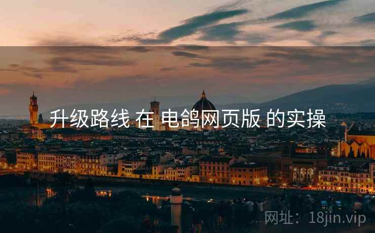升级路线 在 电鸽网页版 的实操