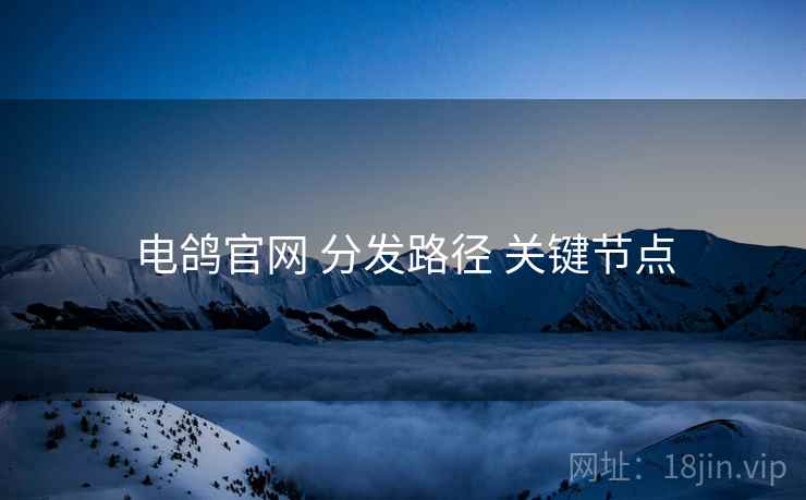 电鸽官网 分发路径 关键节点