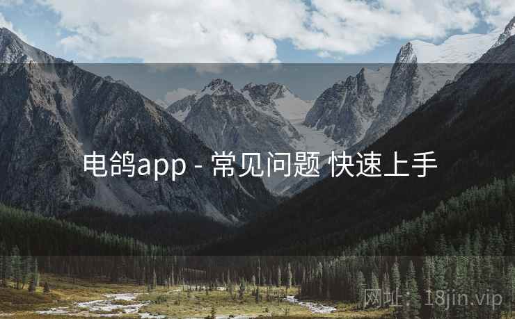 电鸽app - 常见问题 快速上手