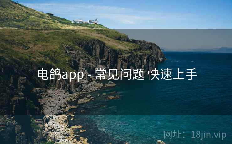 电鸽app - 常见问题 快速上手
