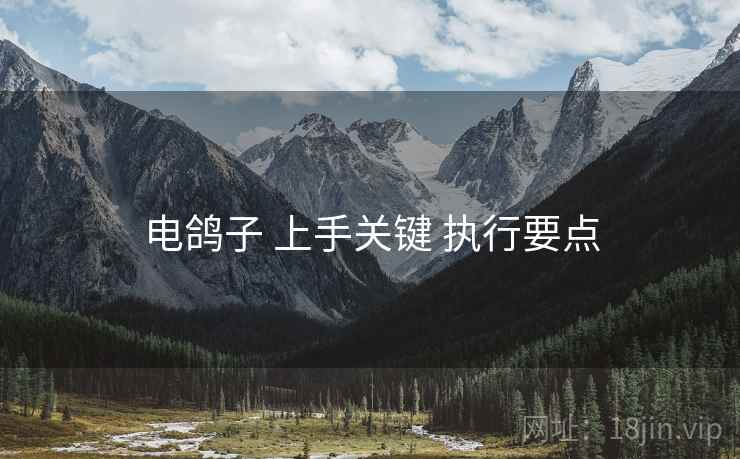 电鸽子 上手关键 执行要点