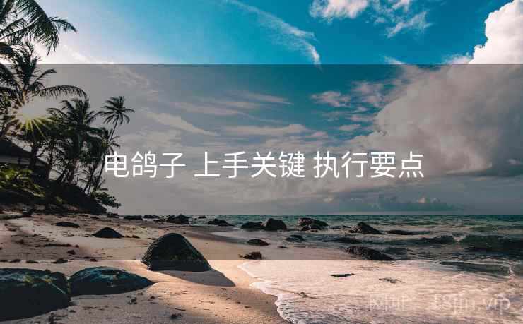 电鸽子 上手关键 执行要点