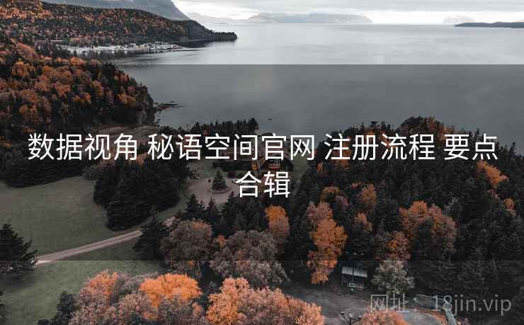 数据视角 秘语空间官网 注册流程 要点合辑