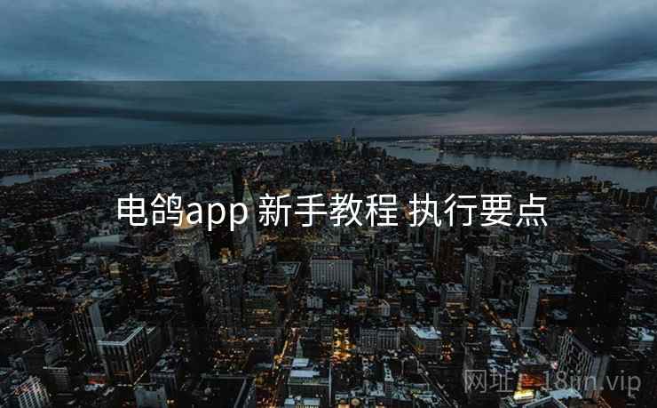 电鸽app 新手教程 执行要点
