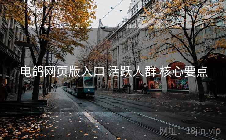 电鸽网页版入口 活跃人群 核心要点